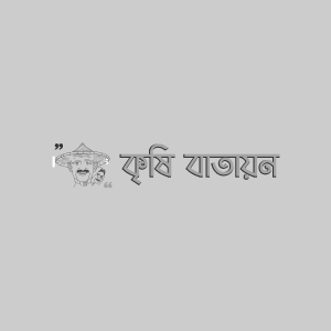 পার্পেল